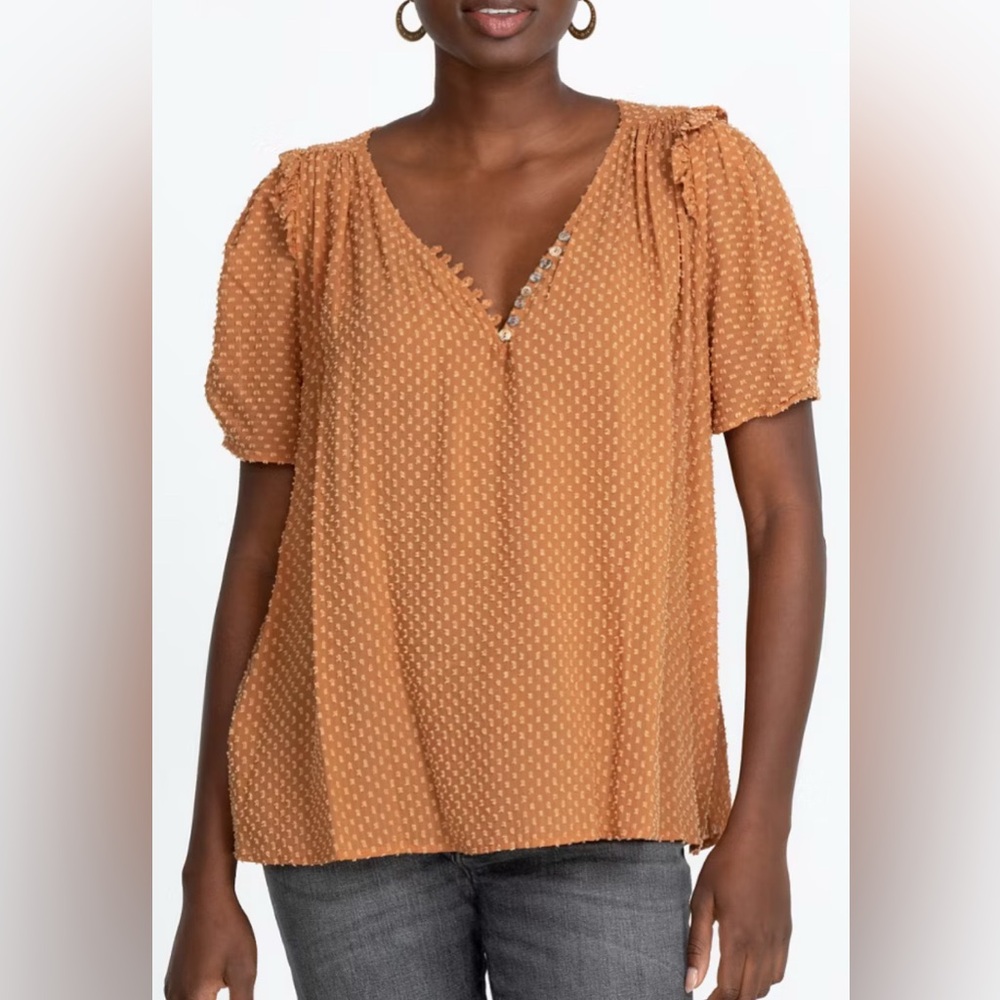 Johnny Was NWT Archer Flare Top Size Large Boho Designer Metallic Swiss Dot